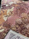 Plaza nukkamatto pinkki 160x230 cm