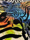 Maya Zebra värikäs 160x230 cm