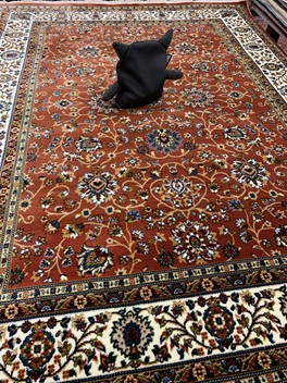 Classic nukkamatto terra