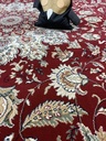 Savona punainen medaljonki 240x340 cm