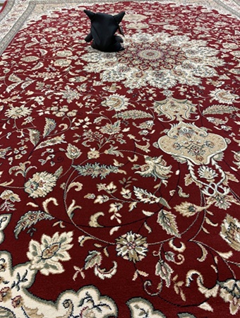 Savona punainen medaljonki 240x340 cm