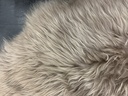 Lampaantalja Islanti beige pitkäkarva