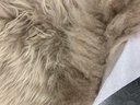 Lampaantalja Islanti beige pitkäkarva
