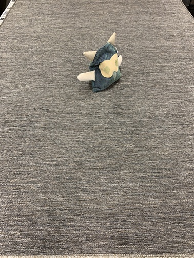 Piemonte Apollo Mudcake