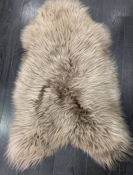 Lampaantalja Islanti beige pitkäkarva