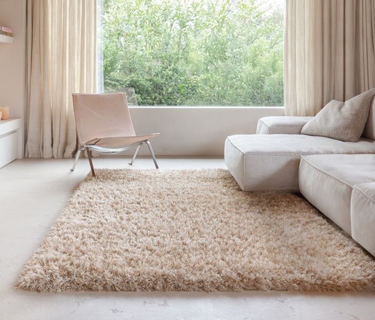 Queen pitkänukkainen lv-beige