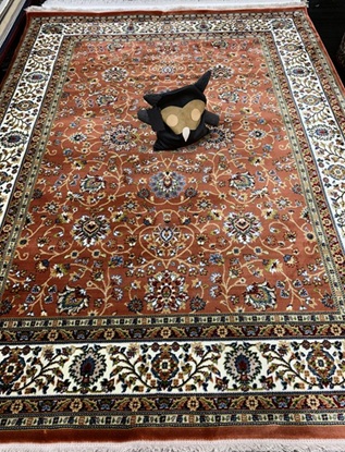 Classic nukkamatto terra