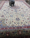 Sarough käsinsolmittu 212x311 cm
