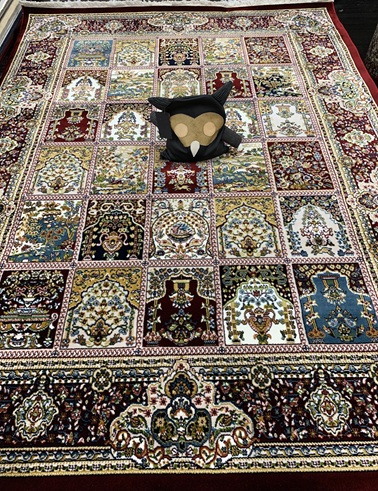 Classic puutarha punainen