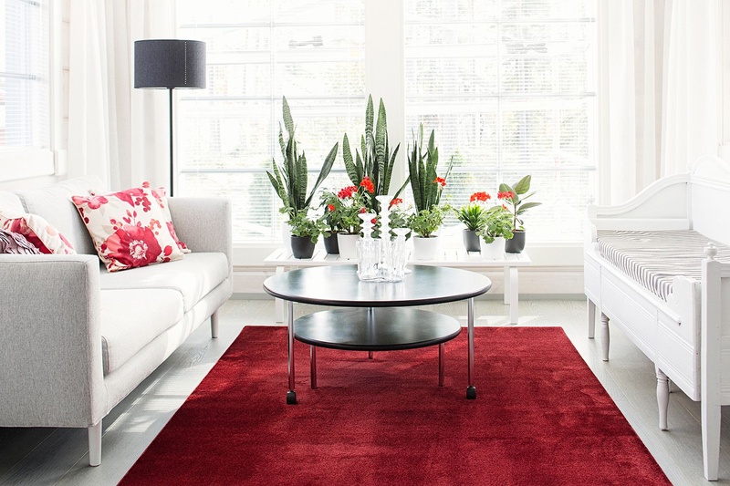 VM-Carpet